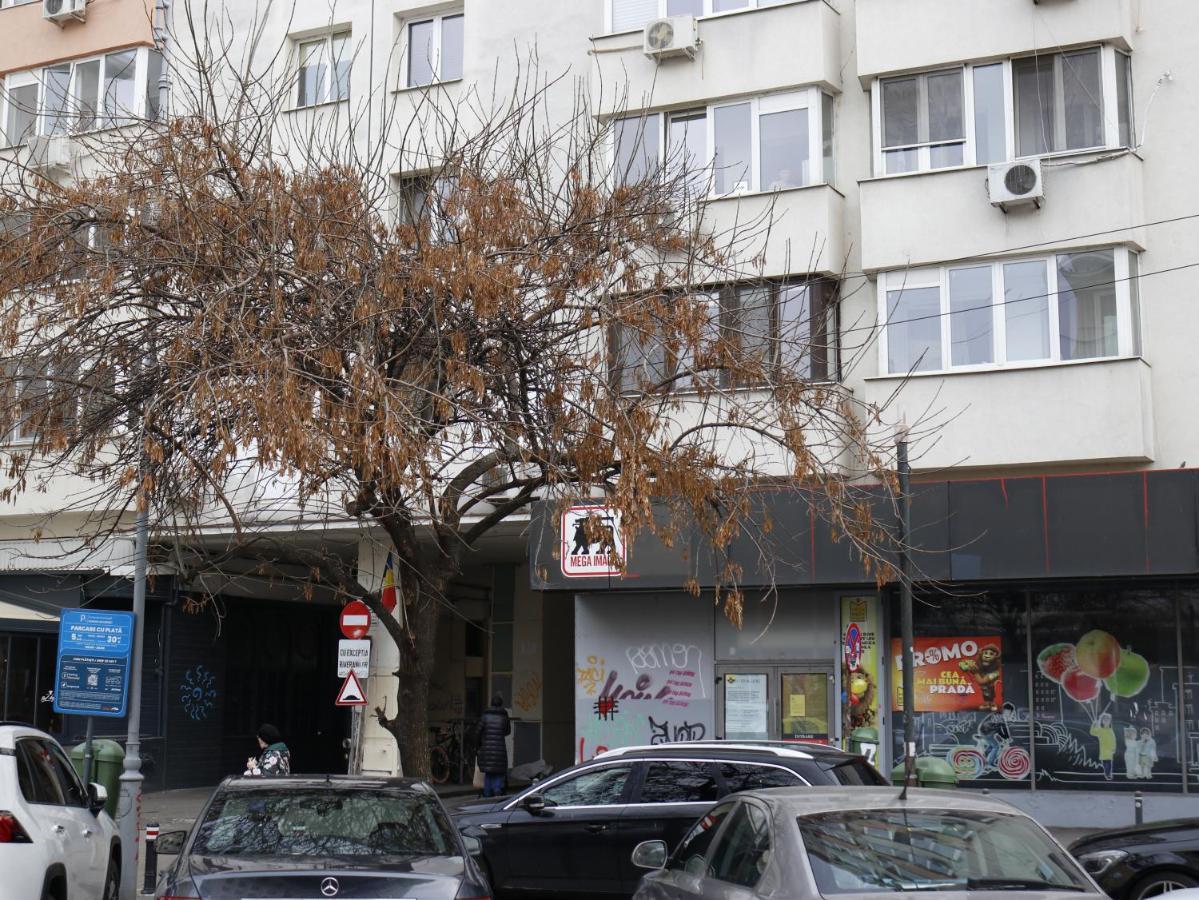 Mina City Center Apartment Amzei Bucureşti Exterior foto